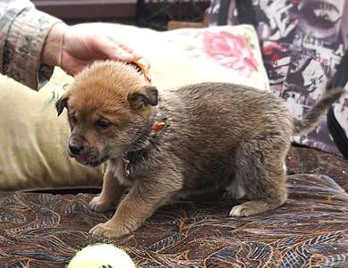 1066 X 822 314.2 Kb    ,    