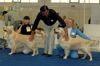 600 X 400  54.5 Kb    ()