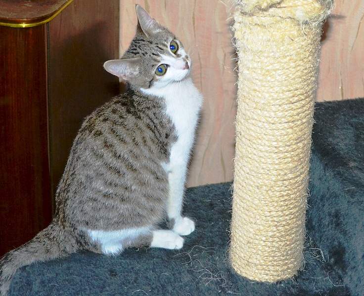 1920 X 1565 937.6 Kb       