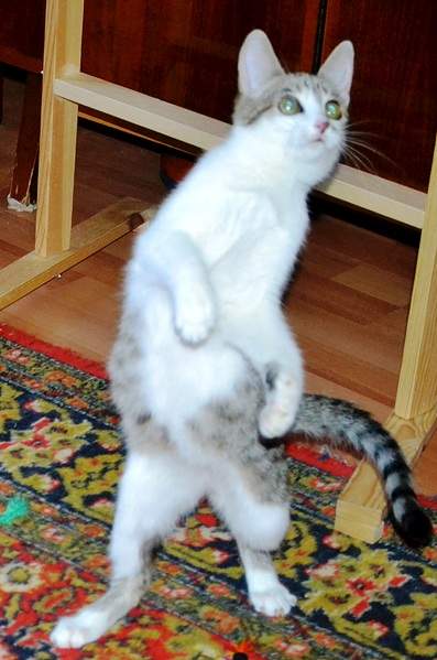 1319 X 1992 612.7 Kb       