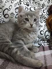 1920 X 2560 780.9 Kb 1920 X 1440 417.1 Kb 1920 X 2560 787.2 Kb 1920 X 2560 794.8 Kb       