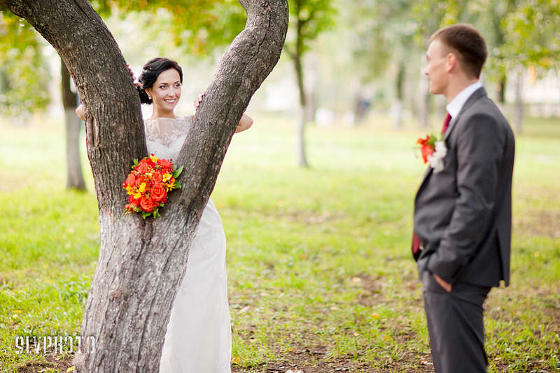 1920 X 1280 311.4 Kb  SLV. ,  .   .