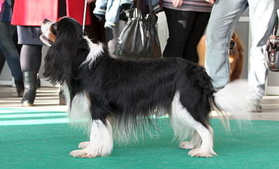 1920 X 1164 956.2 Kb 800 X 533 104.0 Kb ---.  .