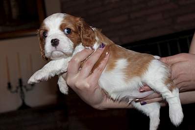 1024 X 683 230.9 Kb 1920 X 1164 956.2 Kb 800 X 533 104.0 Kb ---.  .