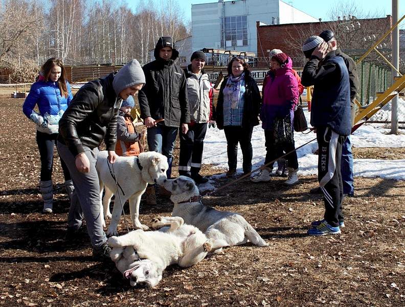 1920 X 1454 902.0 Kb 1920 X 1259 736.4 Kb 1920 X 1177 709.3 Kb Выводка молодняка САО 28.03.15 г. - КЦ 'Оружейный град'