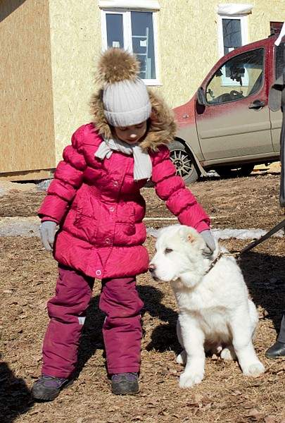 1920 X 2844 567.0 Kb 1920 X 2331 993.3 Kb 1920 X 1428 818.0 Kb Выводка молодняка САО 28.03.15 г. - КЦ 'Оружейный град'