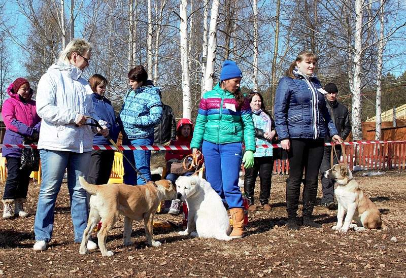 1920 X 1316 972.1 Kb    28.03.15 . -  ' '