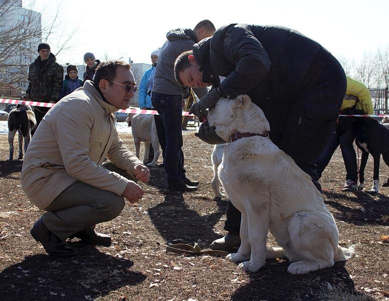 1920 X 1483 669.3 Kb 1920 X 1801 787.4 Kb    28.03.15 . -  ' '