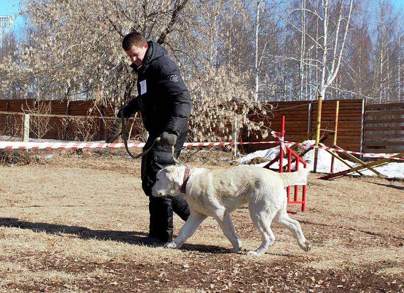 1920 X 1392 833.5 Kb 1920 X 2845 600.4 Kb 1920 X 1518 500.8 Kb    28.03.15 . -  ' '