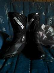 1536 X 2048 631.3 Kb  