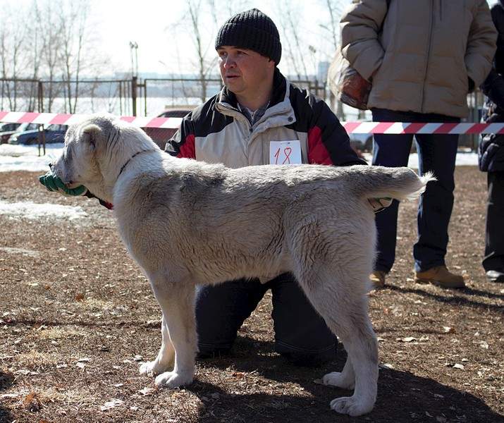 1920 X 1609 724.0 Kb 1920 X 1926 876.6 Kb 1920 X 1582 763.1 Kb    28.03.15 . -  ' '