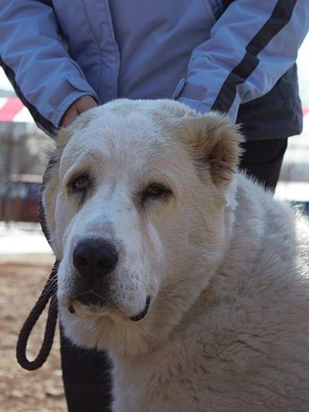 1920 X 2556 711.7 Kb 1920 X 2769 690.8 Kb 1920 X 2880 1023.1 Kb    28.03.15 . -  ' '