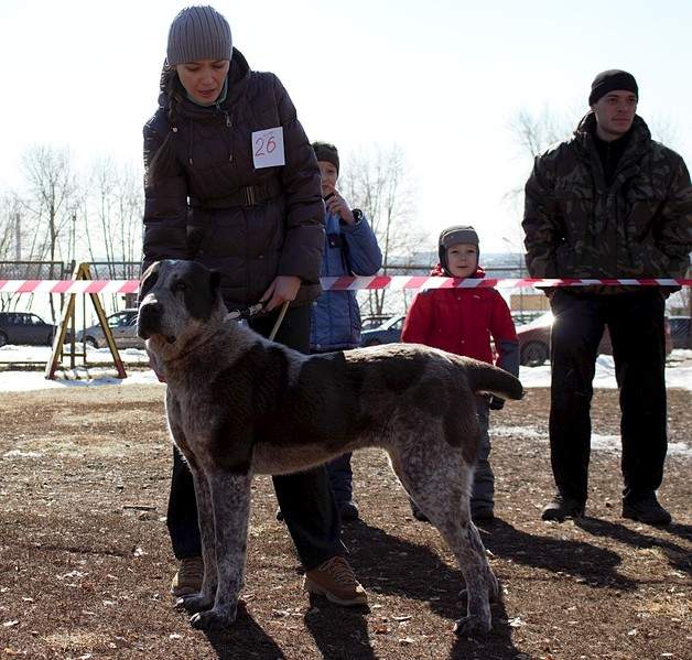 1920 X 1832 763.9 Kb    28.03.15 . -  ' '