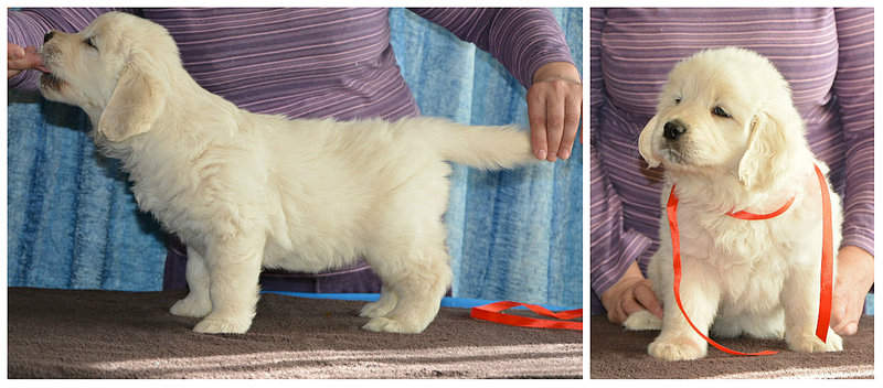 1200 X 528 148.2 Kb 1200 X 552 131.1 Kb   