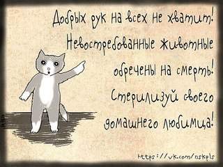 604 X 453  82.5 Kb 604 X 519  81.4 Kb ,    - ,   - 