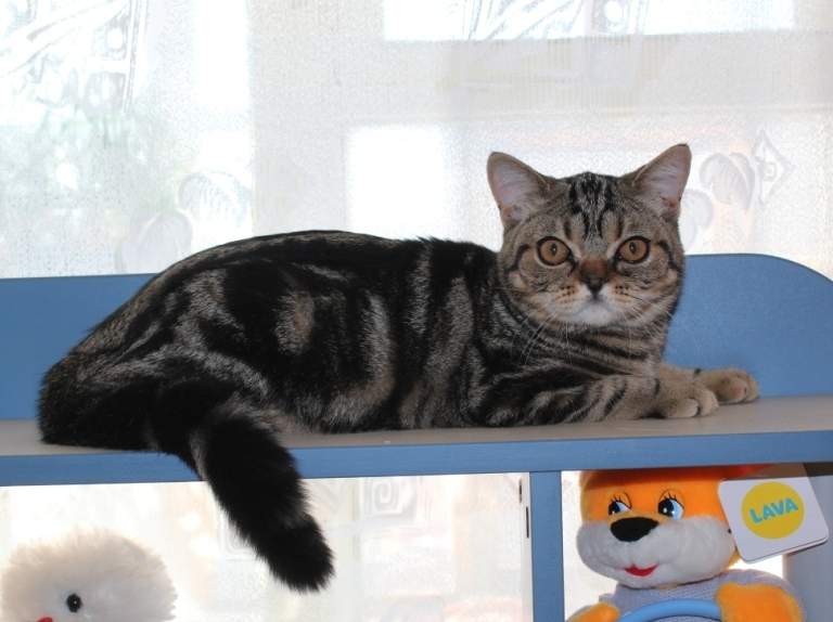 768 x 574 889 X 552 233.0 Kb   -     !