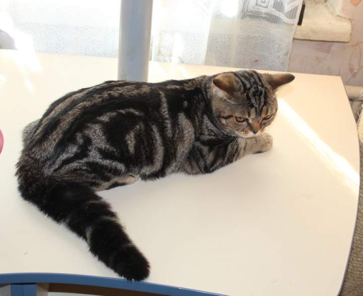 722 x 588 678 X 683 178.8 Kb 768 x 574 889 X 552 233.0 Kb   -     !