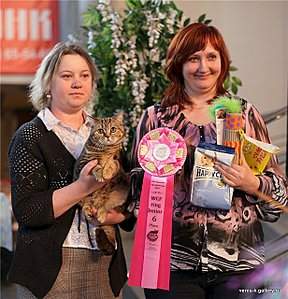 615 X 640 97.7 Kb 589 X 393 57.0 Kb   -     !