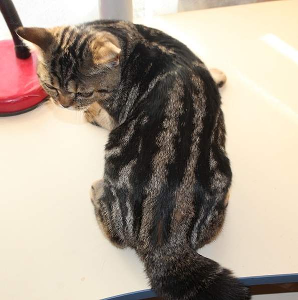 678 X 683 178.8 Kb 768 x 574 889 X 552 233.0 Kb   -     !