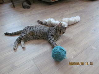 1920 X 1440 649.2 Kb 1920 X 1440 552.2 Kb   - , , .