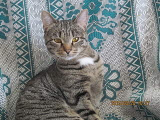 1920 X 1440 468.6 Kb 1920 X 1440 576.5 Kb 1920 X 1440 649.2 Kb 1920 X 1440 552.2 Kb   - , , .