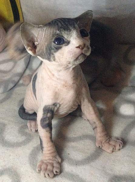 1886 X 2540 863.6 Kb   