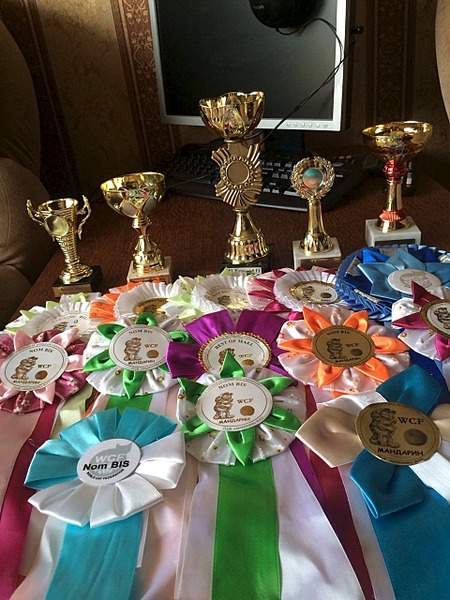 960 X 1280 305.0 Kb 456 X 740 68.4 Kb   