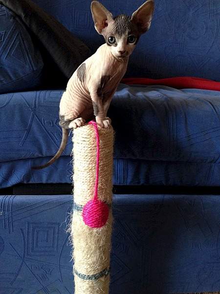 1920 X 2560 353.8 Kb   