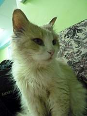 768 X 1024 135.3 Kb 1280 X 960 194.5 Kb 768 X 1024 130.3 Kb 768 X 1024 124.6 Kb      - !