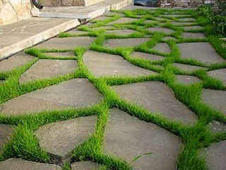 500 X 375 21.8 Kb 537 X 350 53.8 Kb ��������� ����� �� ���������� �������