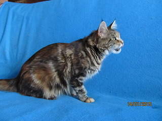 1920 X 1440 561.5 Kb 1000 X 1500 165.0 Kb 1200 X 800 369.0 Kb  -