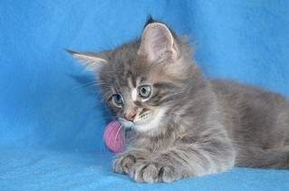 1024 X 678 102.8 Kb  -