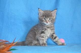 1024 X 678 118.1 Kb 1024 X 678 117.4 Kb 1024 X 678 102.8 Kb  -