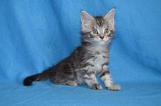 1024 X 678 115.7 Kb 1024 X 678 114.0 Kb 1024 X 678 118.1 Kb 1024 X 678 117.4 Kb 1024 X 678 102.8 Kb  -