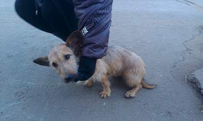 1920 X 1148 882.8 Kb   .  