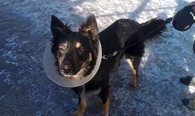 1920 X 1148 391.4 Kb          .  .