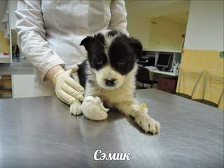 320 x 240 ������� ��������, ����� ����� ������ � ����