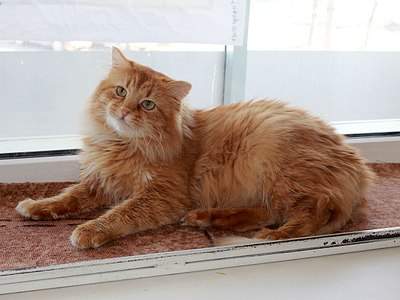 1200 X 900 153.4 Kb 1200 X 900 154.4 Kb      !