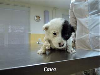 807 X 605  59.5 Kb 320 x 240 ������� ��������, ����� ����� ������ � ����