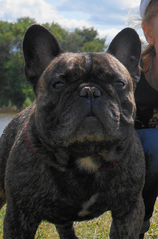 528 X 800 484.2 Kb 1920 X 1440 611.9 Kb    