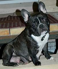 1920 X 2269 430.7 Kb 528 X 800 484.2 Kb 1920 X 1440 611.9 Kb    