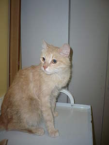 1536 X 2048 169.1 Kb  ...   !  .