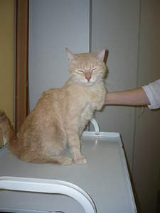 1536 X 2048 138.5 Kb 1536 X 2048 169.1 Kb  ...   !  .