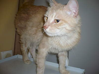 1920 X 1440 172.9 Kb 1536 X 2048 138.5 Kb 1536 X 2048 169.1 Kb  ...   !  .