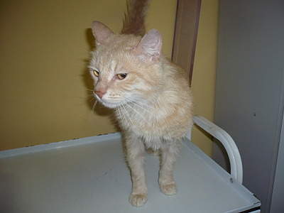 1920 X 1440 489.3 Kb 1920 X 1440 172.9 Kb 1536 X 2048 138.5 Kb 1536 X 2048 169.1 Kb  ...   !  .