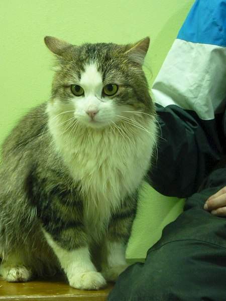 768 X 1024 128.3 Kb 768 X 1024 120.1 Kb 768 X 1024 125.0 Kb 768 X 1024 144.1 Kb 768 X 1024  79.5 Kb  -   ,   