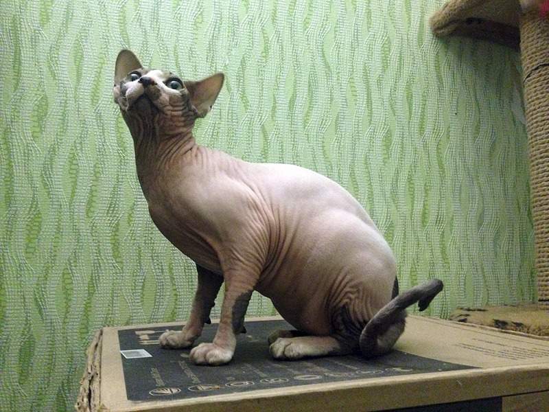 1920 X 1440 756.7 Kb  