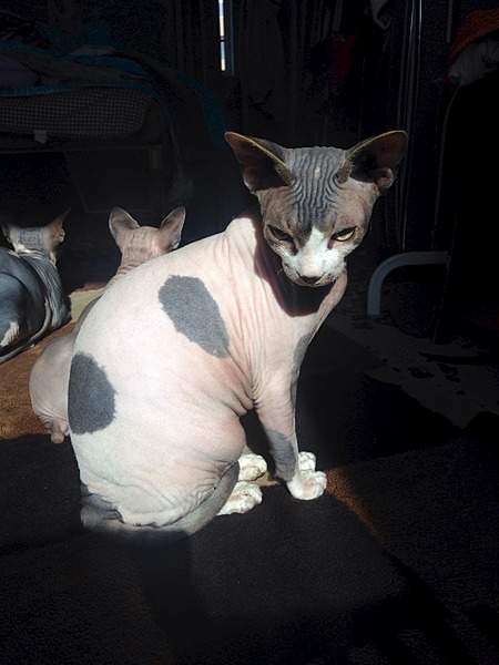 1920 X 2560 859.9 Kb  