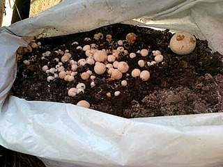 400 X 300 45.3 Kb 400 X 300 47.0 Kb    