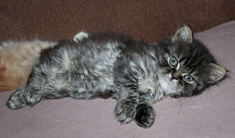 885 X 522 222.4 Kb  .   - !